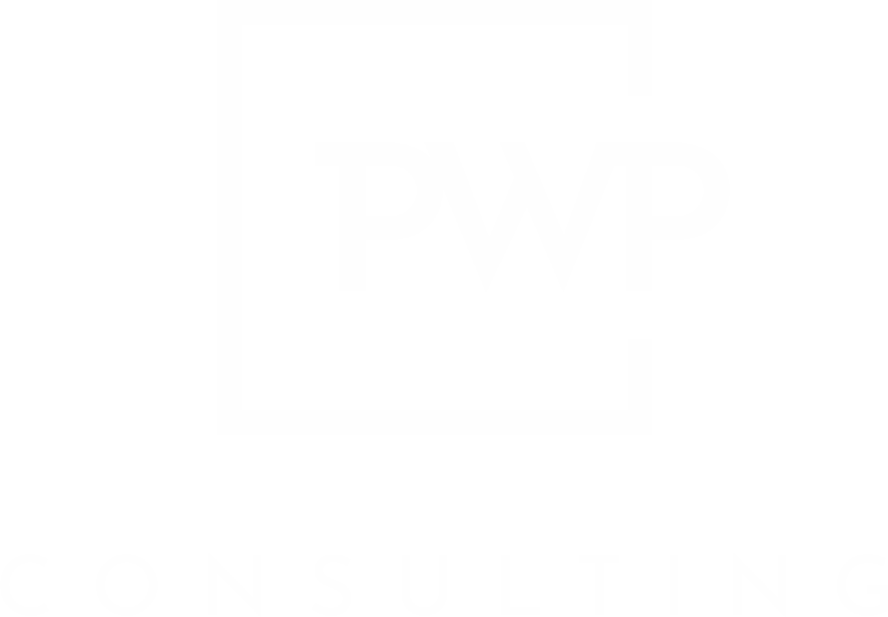 PWP Consulting